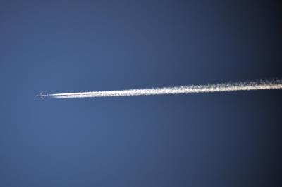 Image of aircraft registration TC-SGM - A A310-308 operated by ULS Airlines Cargo