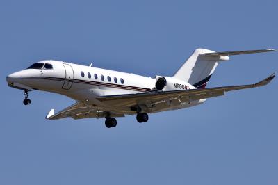 Photo of aircraft N800QS operated by NetJets