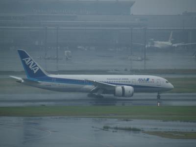 Photo of aircraft JA832A operated by All Nippon Airways