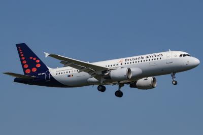 Photo of aircraft OO-SNI operated by Brussels Airlines